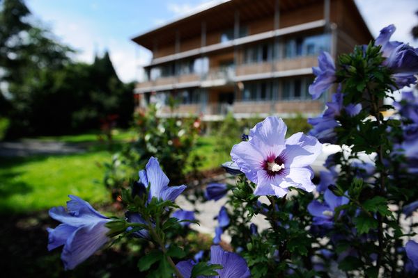 Bilder Restaurant Seehörnle Hotel und Gasthaus