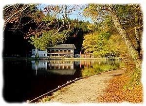 Bilder Restaurant Waldhaus Deininger Weiher